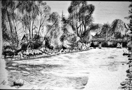 Mürzfluss bei Langenwang